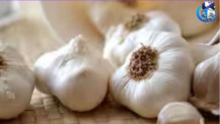 सिर्फ स्वाद नहीं, सेहत का खजाना है लहसुन!