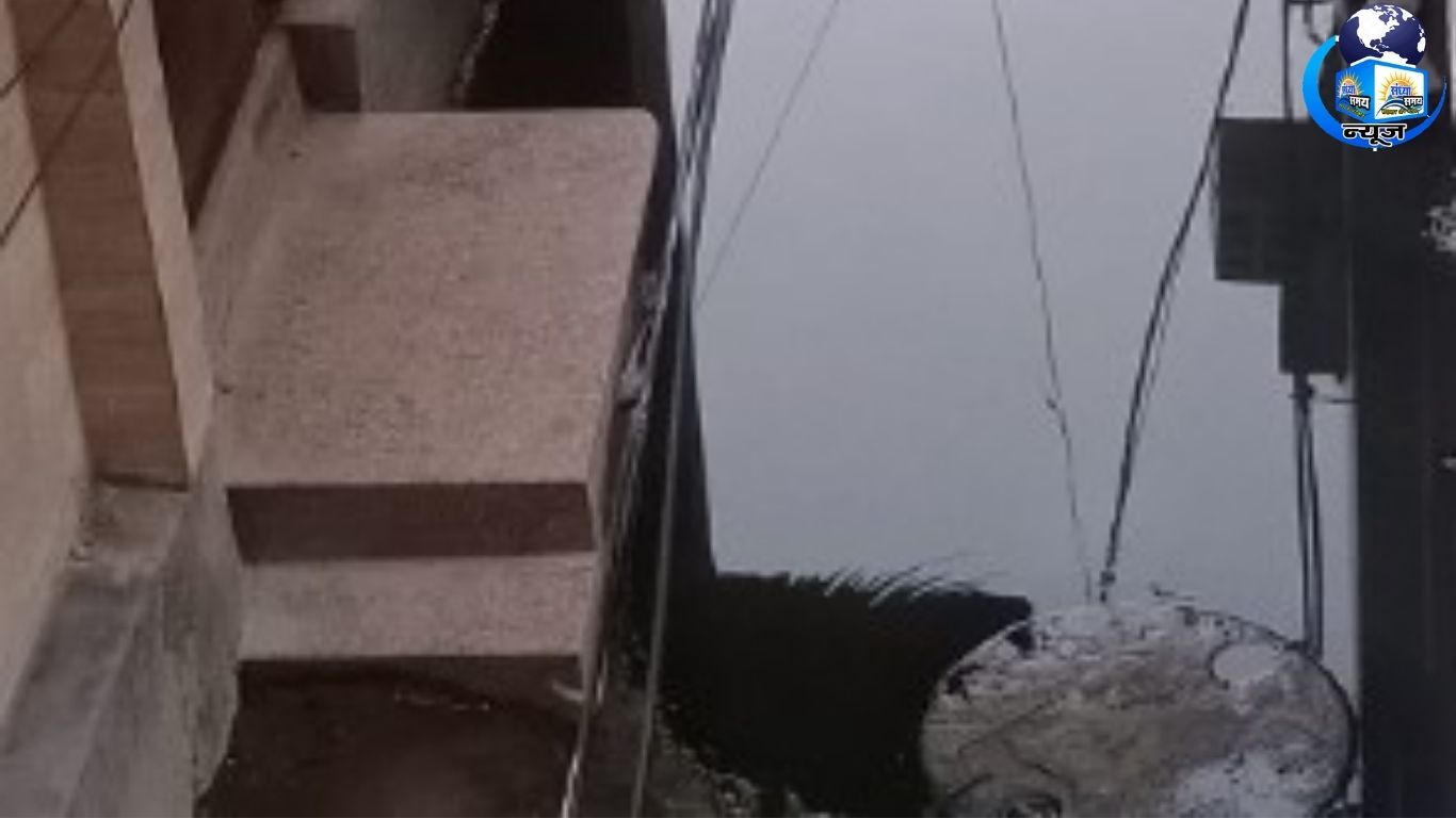 सीवर जाम से मोहन गार्डन में फैल रही गंभीर बीमारियां