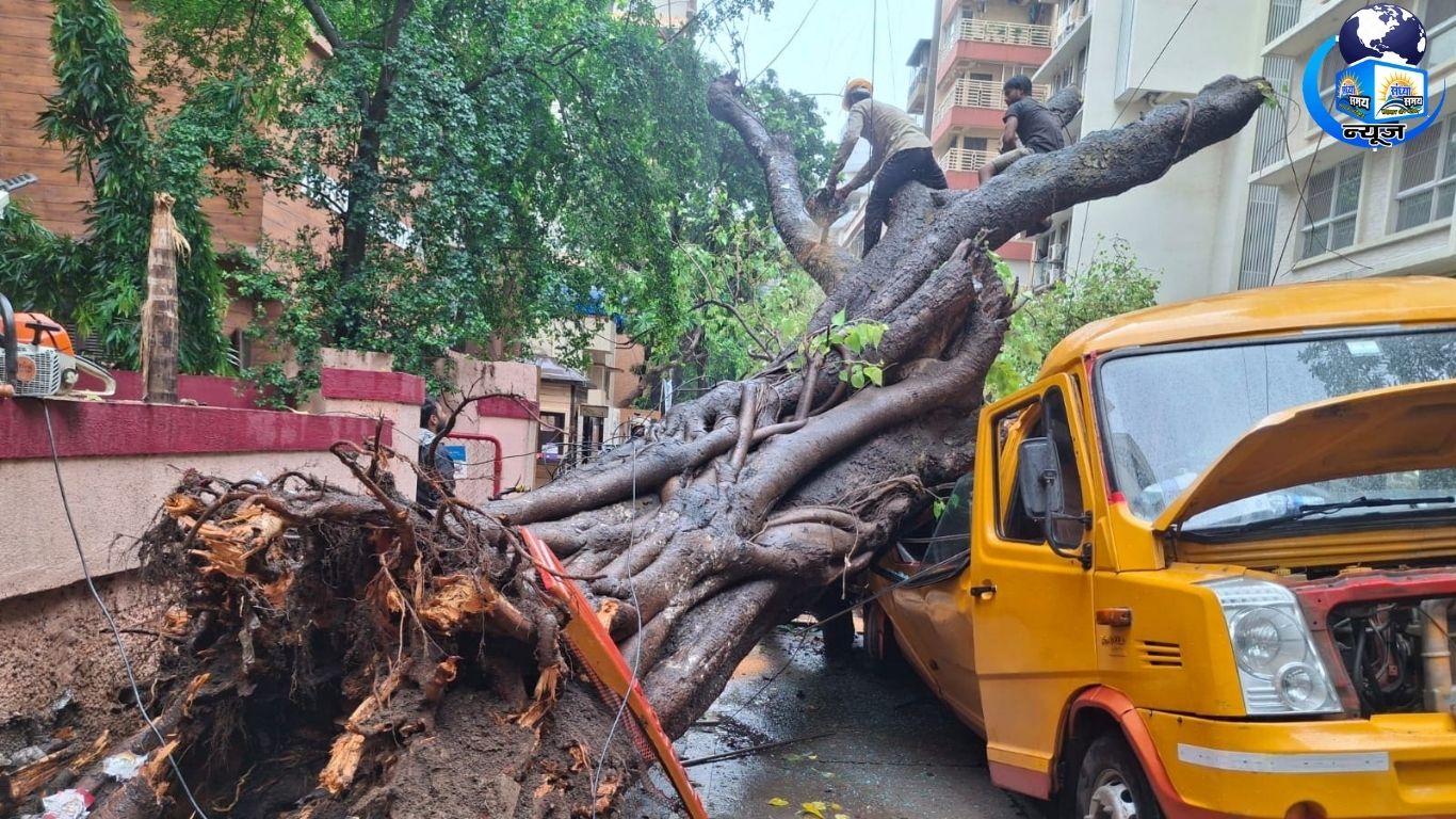 लापरवाह अधिकारियों के खिलाफ हो कड़ी कानूनी कार्रवाई अब तुरंत