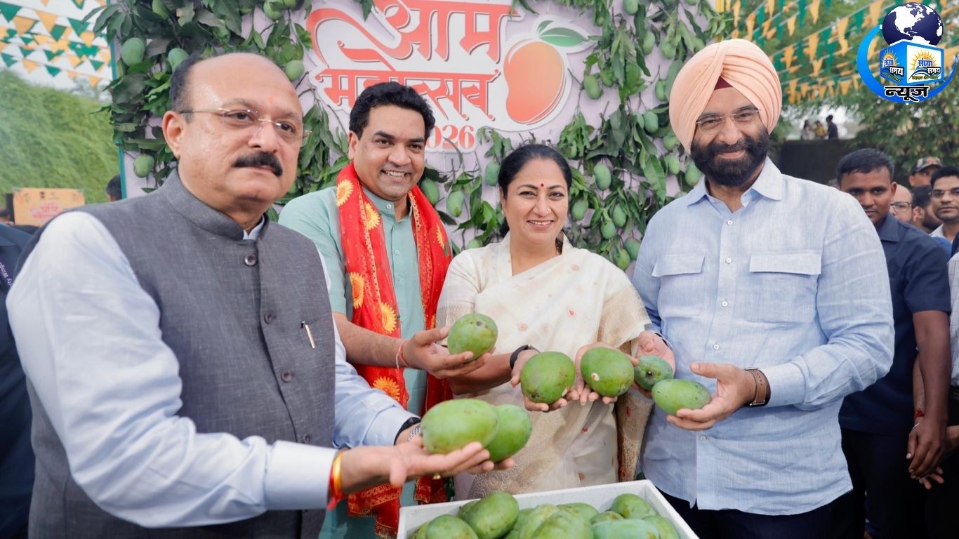 दिल्ली पहुंचिए, अनोखे आम देखिए और पसंदीदा वैरायटी घर ले जाइए
