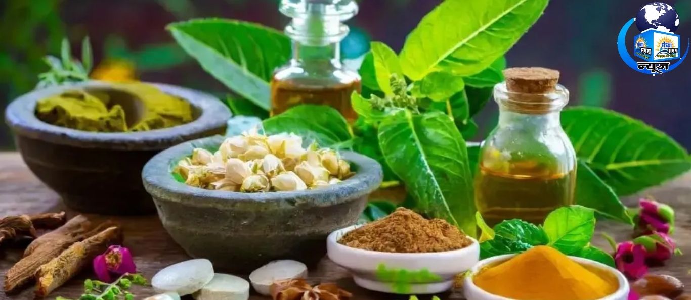 बारिश के मौसम में इम्यूनिटी बूस्ट करें ये 5 सुपरफूड्स