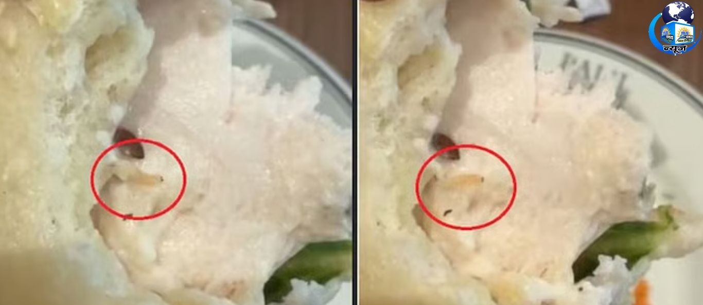 गुरुग्राम के मशहूर रेस्टोरेंट में सैंडविच में निकला जिंदा कीड़ा