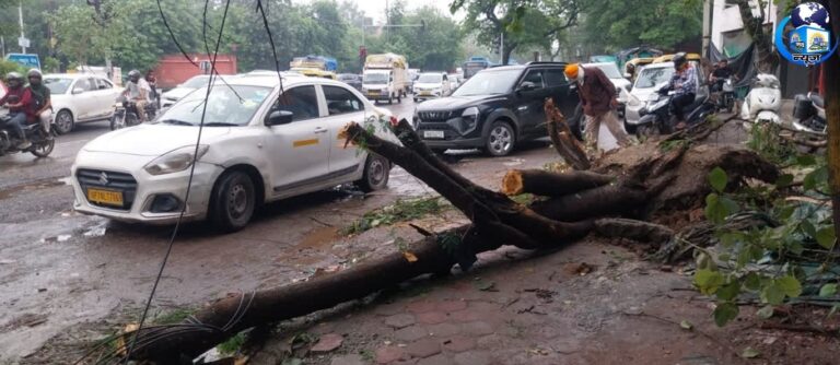 दिल्ली में बारिश के बीच पेड़ गिरने से हड़कंप मचा