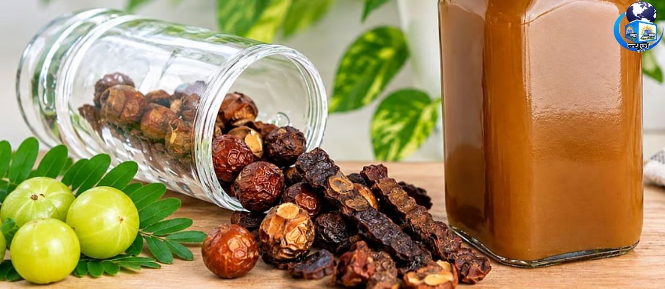 घर पर बनाएं ये देसी शैंपू, बालों में आएगी चमक
