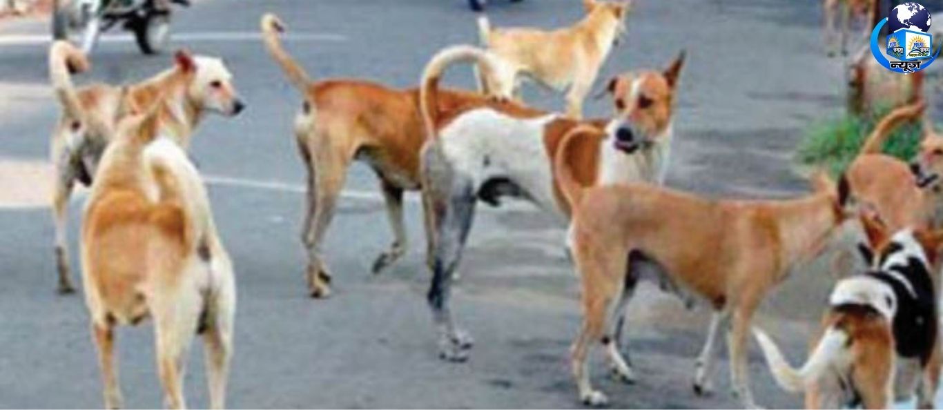 पशु कल्याण अच्छा, पर इंसानी जान से ऊपर नहीं