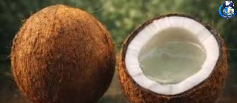 नारियल से बना जानलेवा बम: द्वितीय विश्व युद्ध में जापानी फौज का घातक प्रयोग