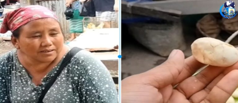 पूर्वोत्तर का रहस्यमयी बाजार: अजगर के अंडे और जंगली मांस का सच जानें