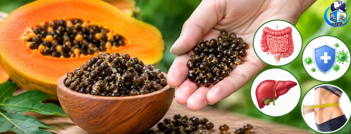 कड़वे पपीते के बीज सेहत के लिए कितने फायदेमंद?